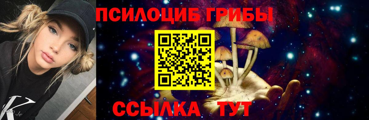 Галлюциногенные грибы Psilocybe Сочи